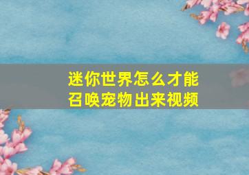 迷你世界怎么才能召唤宠物出来视频