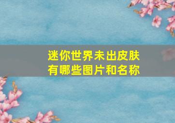 迷你世界未出皮肤有哪些图片和名称