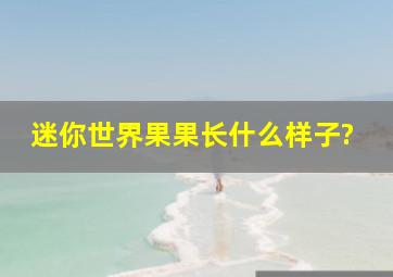 迷你世界果果长什么样子?