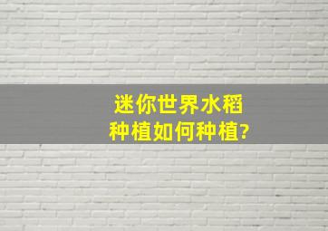 迷你世界水稻种植如何种植?