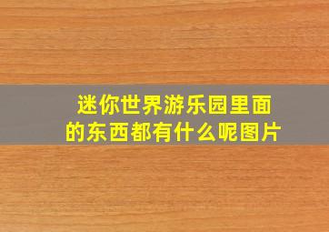 迷你世界游乐园里面的东西都有什么呢图片