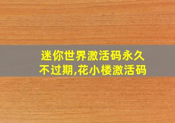 迷你世界激活码永久不过期,花小楼激活码