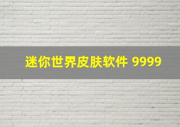 迷你世界皮肤软件 9999