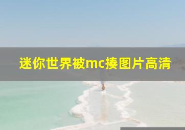 迷你世界被mc揍图片高清