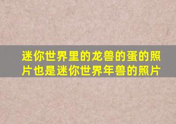 迷你世界里的龙兽的蛋的照片也是迷你世界年兽的照片