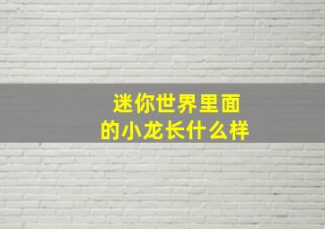 迷你世界里面的小龙长什么样