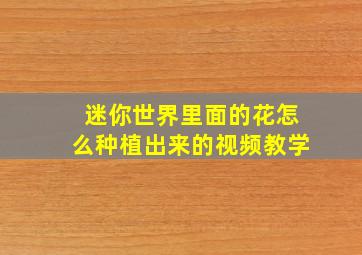 迷你世界里面的花怎么种植出来的视频教学