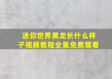 迷你世界黑龙长什么样子视频教程全集免费观看