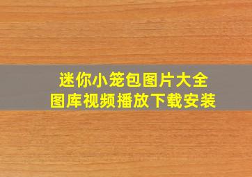 迷你小笼包图片大全图库视频播放下载安装