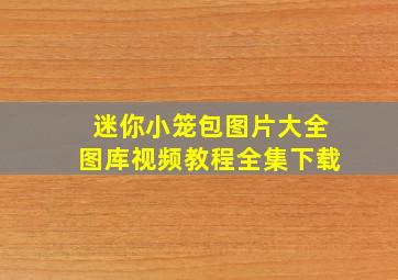 迷你小笼包图片大全图库视频教程全集下载