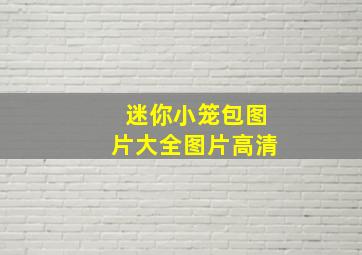 迷你小笼包图片大全图片高清