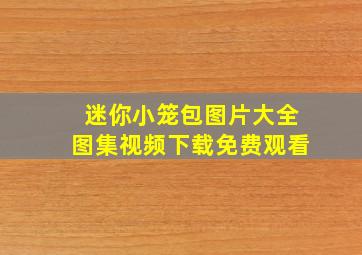 迷你小笼包图片大全图集视频下载免费观看