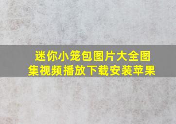 迷你小笼包图片大全图集视频播放下载安装苹果