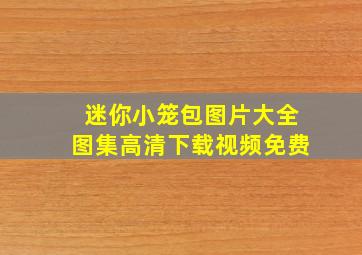 迷你小笼包图片大全图集高清下载视频免费