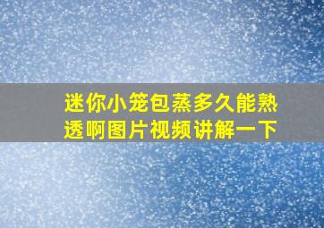 迷你小笼包蒸多久能熟透啊图片视频讲解一下