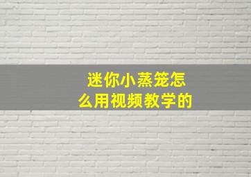 迷你小蒸笼怎么用视频教学的