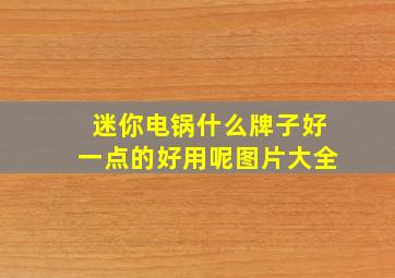 迷你电锅什么牌子好一点的好用呢图片大全