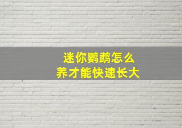 迷你鹦鹉怎么养才能快速长大