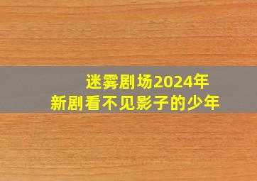 迷雾剧场2024年新剧看不见影子的少年