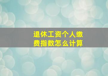 退休工资个人缴费指数怎么计算