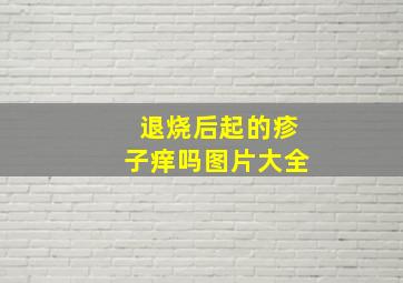 退烧后起的疹子痒吗图片大全