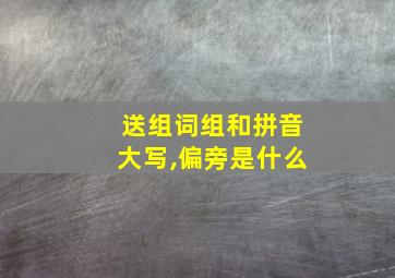 送组词组和拼音大写,偏旁是什么