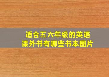 适合五六年级的英语课外书有哪些书本图片