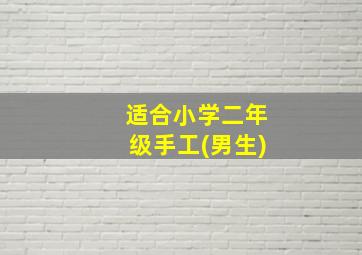 适合小学二年级手工(男生)