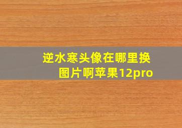 逆水寒头像在哪里换图片啊苹果12pro