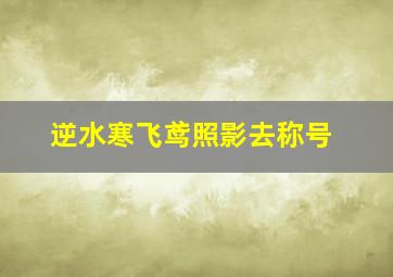 逆水寒飞鸢照影去称号