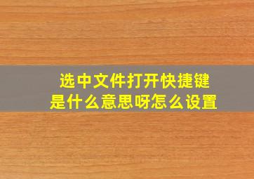 选中文件打开快捷键是什么意思呀怎么设置