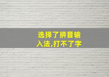 选择了拼音输入法,打不了字