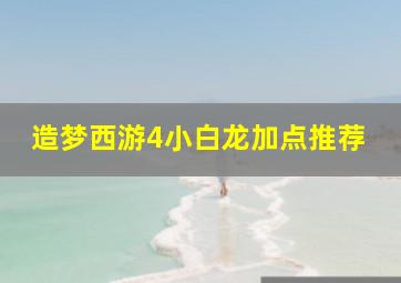 造梦西游4小白龙加点推荐