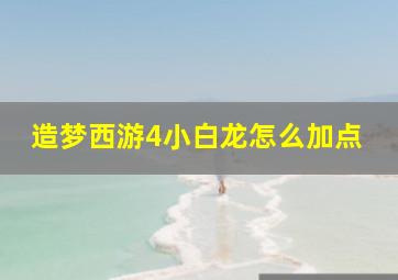 造梦西游4小白龙怎么加点