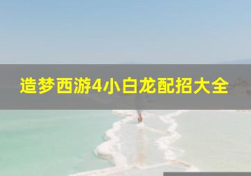 造梦西游4小白龙配招大全