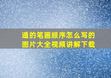 遁的笔画顺序怎么写的图片大全视频讲解下载