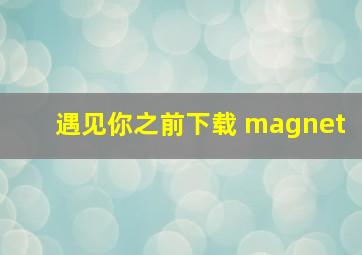 遇见你之前下载 magnet