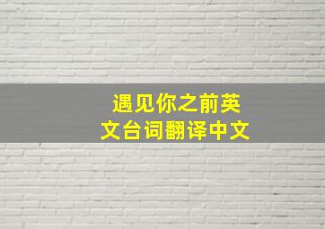 遇见你之前英文台词翻译中文