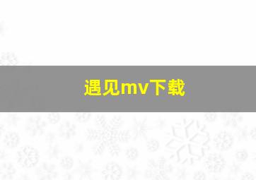 遇见mv下载