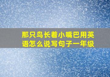 那只鸟长着小嘴巴用英语怎么说写句子一年级