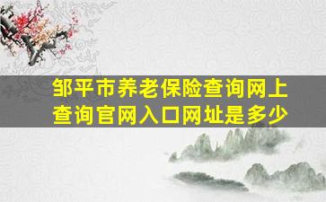 邹平市养老保险查询网上查询官网入口网址是多少