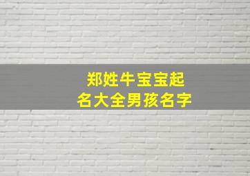 郑姓牛宝宝起名大全男孩名字