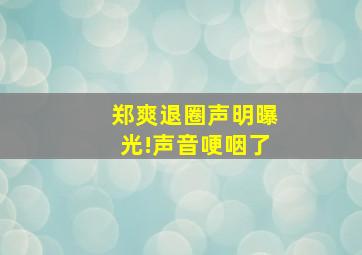 郑爽退圈声明曝光!声音哽咽了