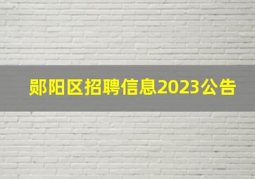 郧阳区招聘信息2023公告