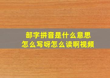 部字拼音是什么意思怎么写呀怎么读啊视频