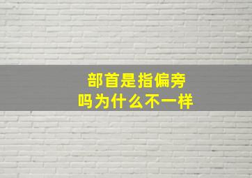 部首是指偏旁吗为什么不一样