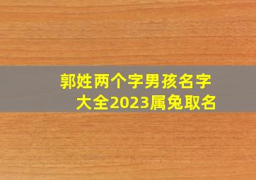 郭姓两个字男孩名字大全2023属兔取名