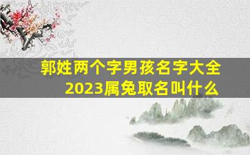 郭姓两个字男孩名字大全2023属兔取名叫什么