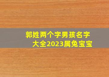 郭姓两个字男孩名字大全2023属兔宝宝