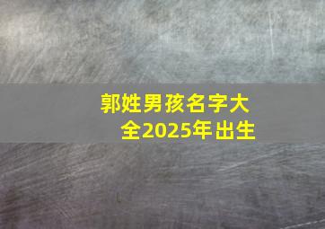 郭姓男孩名字大全2025年出生